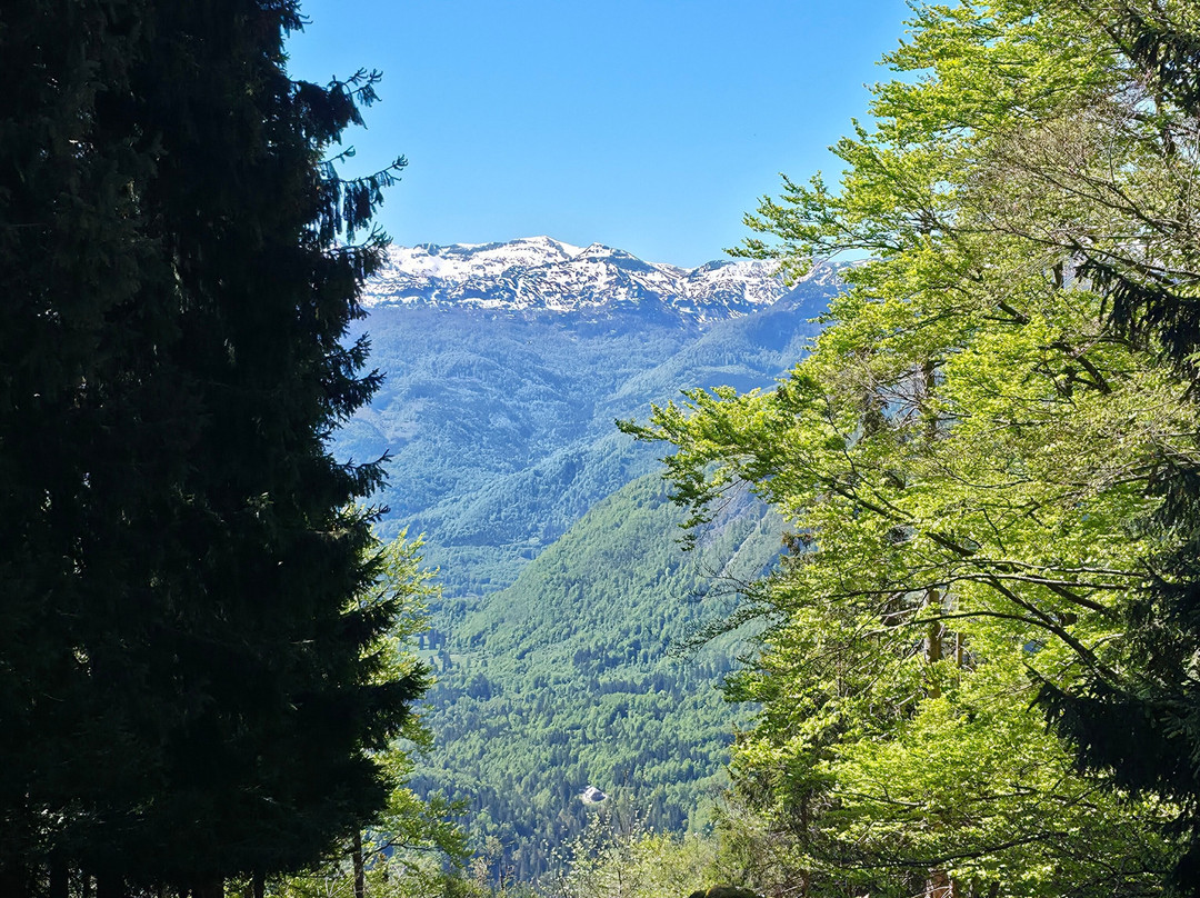Hike&Bike Slovenia-博希尼湖必去景点