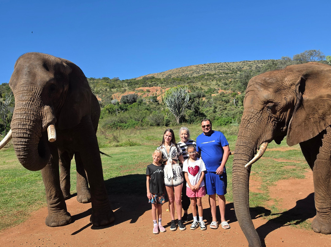 Elephant Sanctuary Hartbeesport Dam-哈特比斯普特必去景点