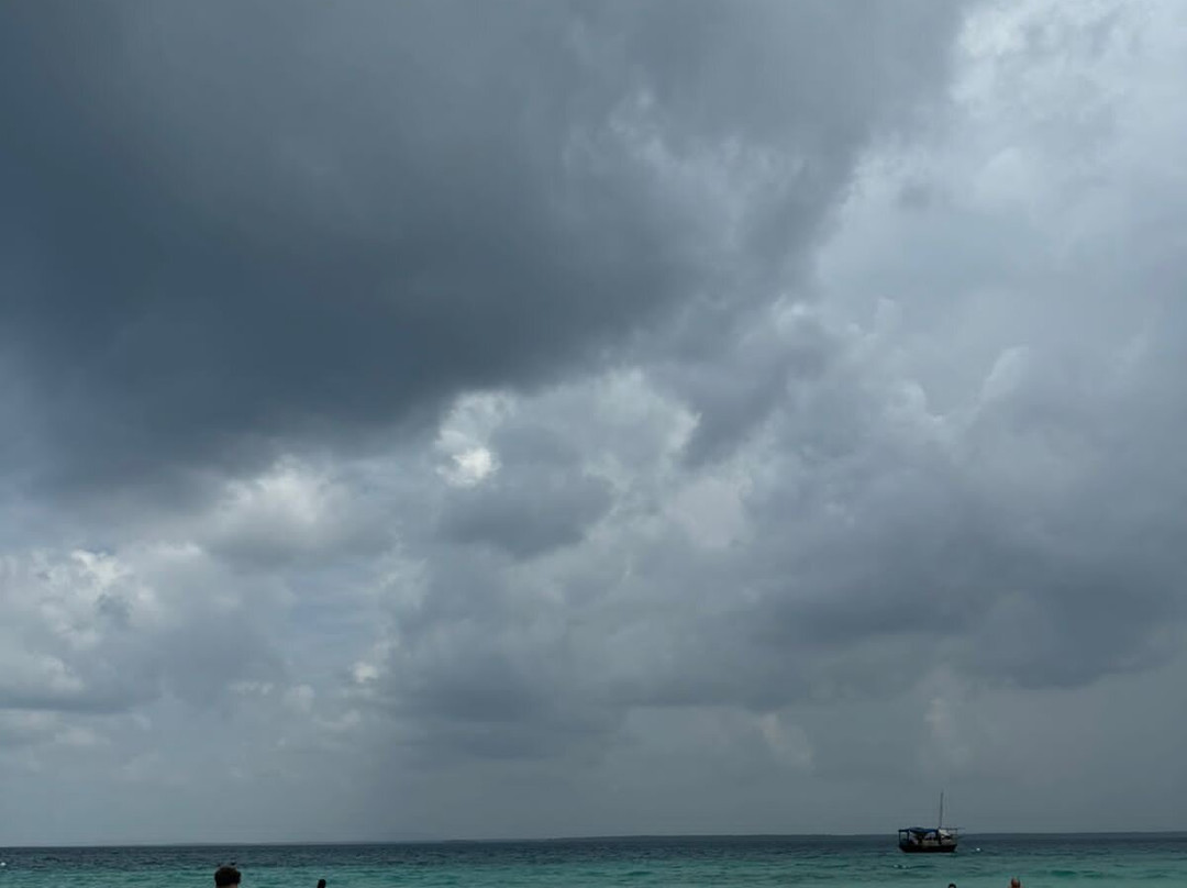 Kisite-Mpunguti Marine National Park and Reserve-Shimoni必去景点