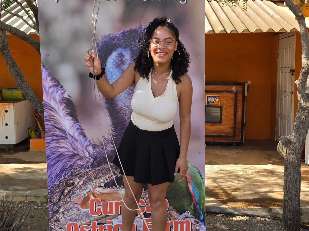 Curacao Ostrich Farm-库拉索必去景点