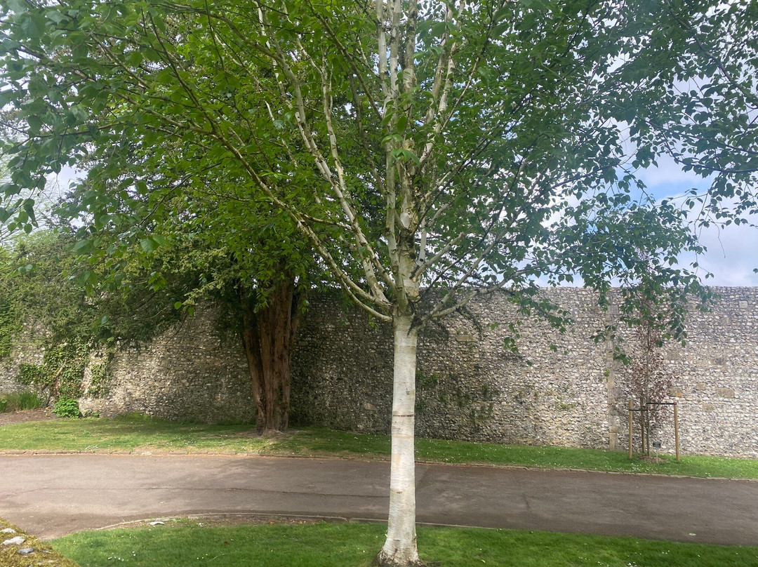 The Weirs Winchester-温彻斯特必去景点