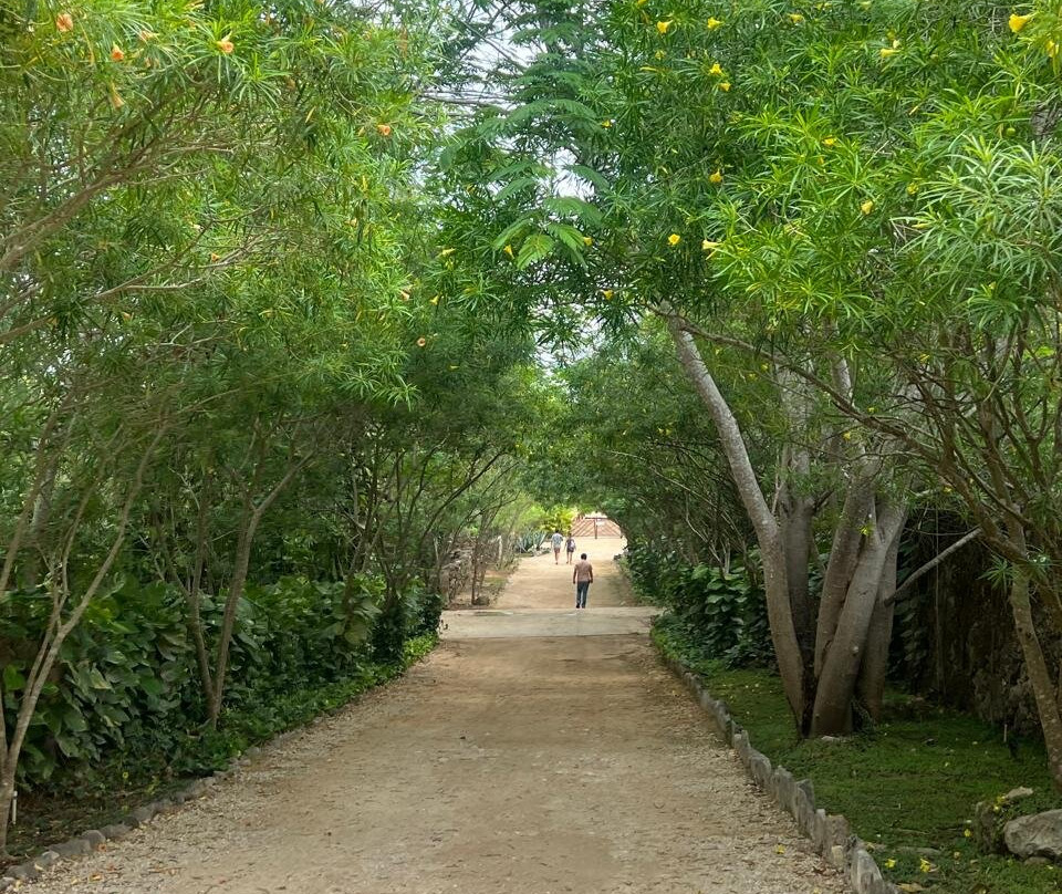 Destino Mío Mayan Jungle Retreat主图