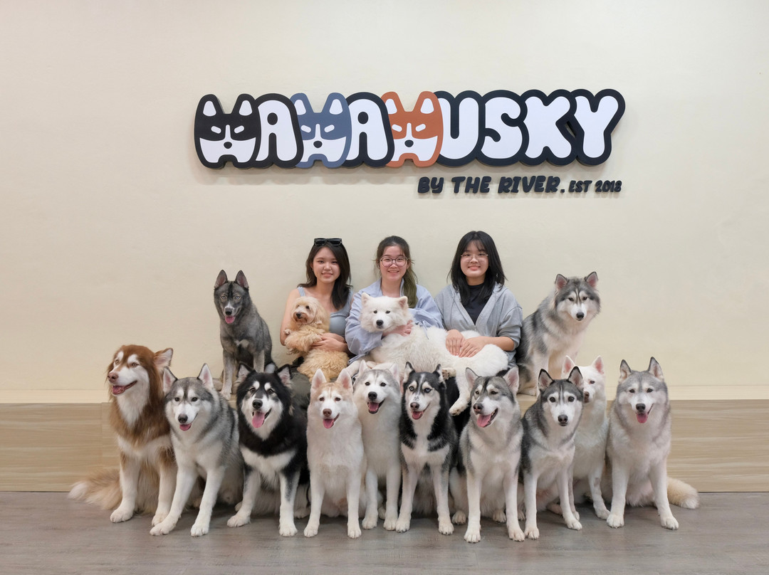 Hahahusky