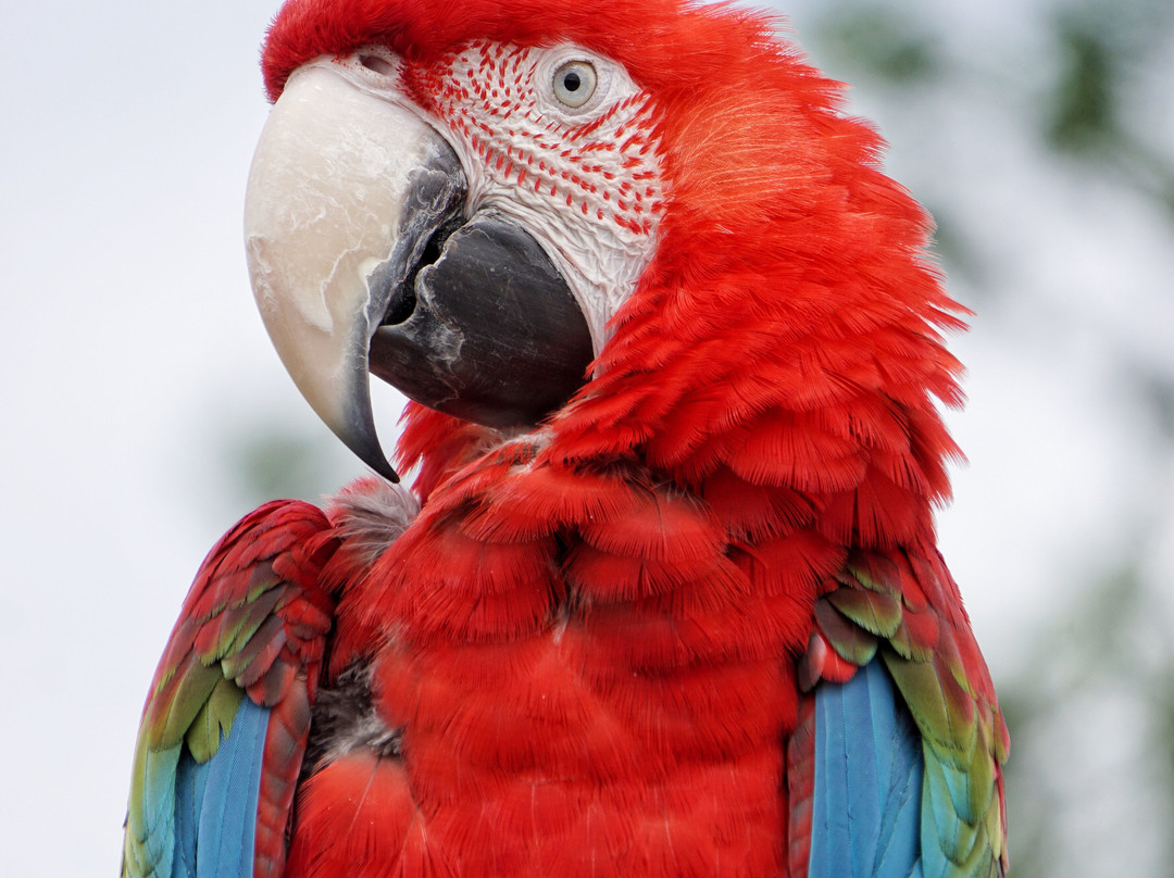 Wild Zoological Park-Bobbington必去景点
