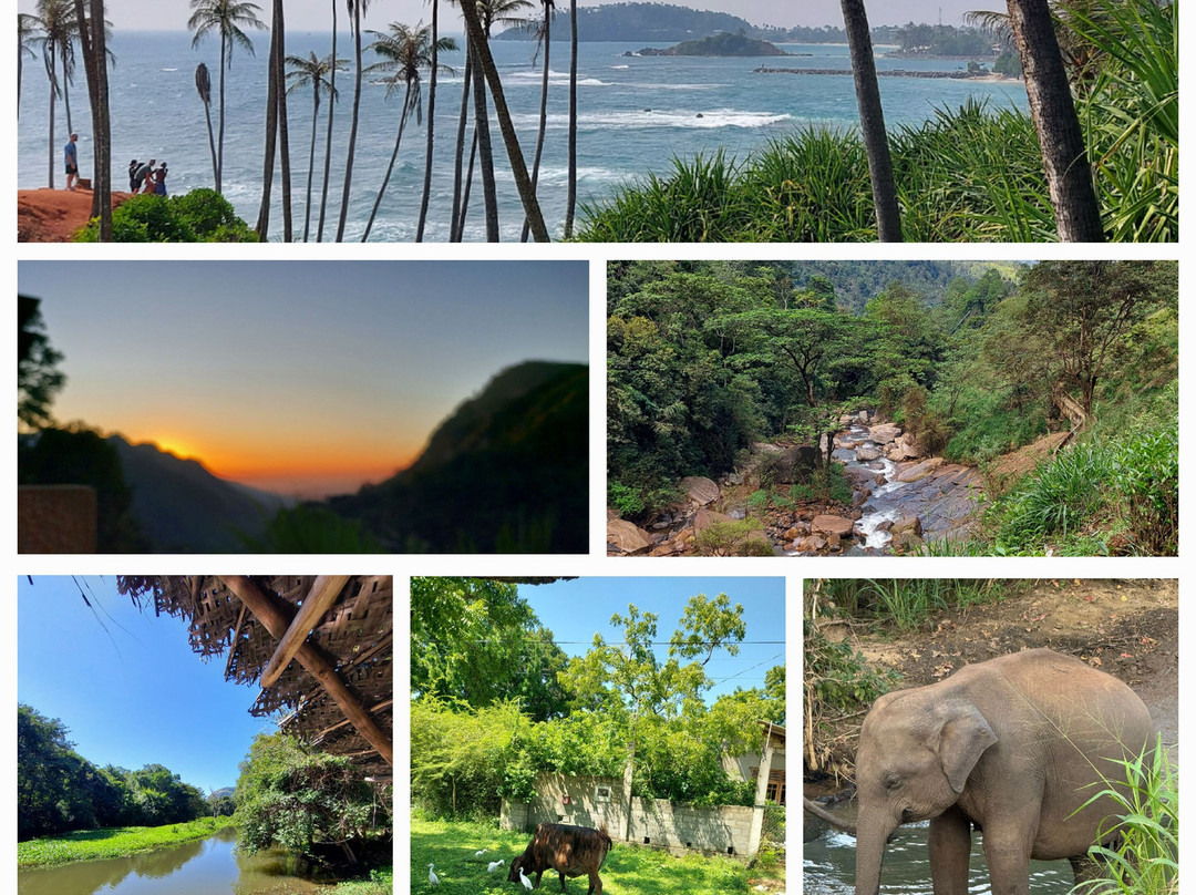 Moi Ceylon Tours-Rajagiriya必去景点