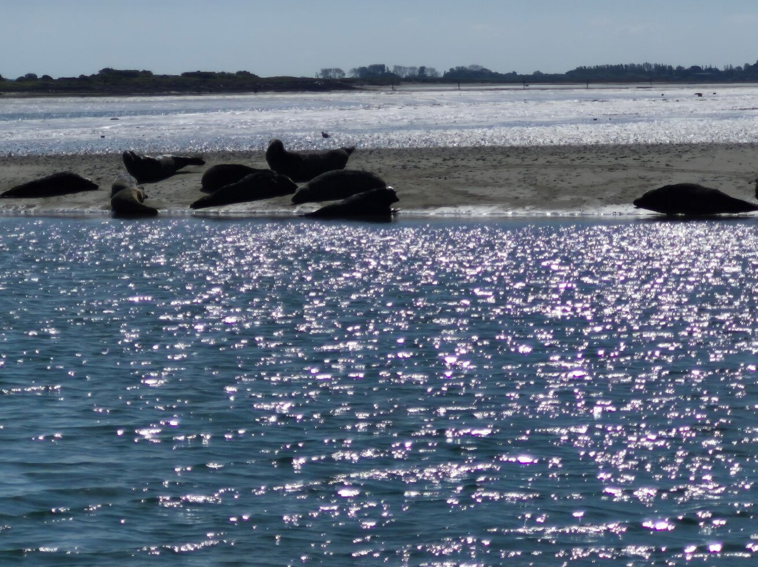 Chichester Harbour Water Tours-West Itchenor必去景点