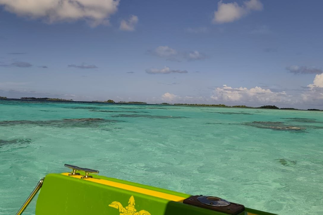 Rairoa Fishing And Tours-伦吉拉必去景点
