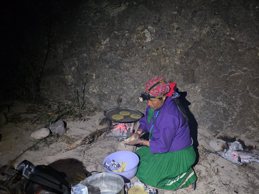 Vive Trekking México