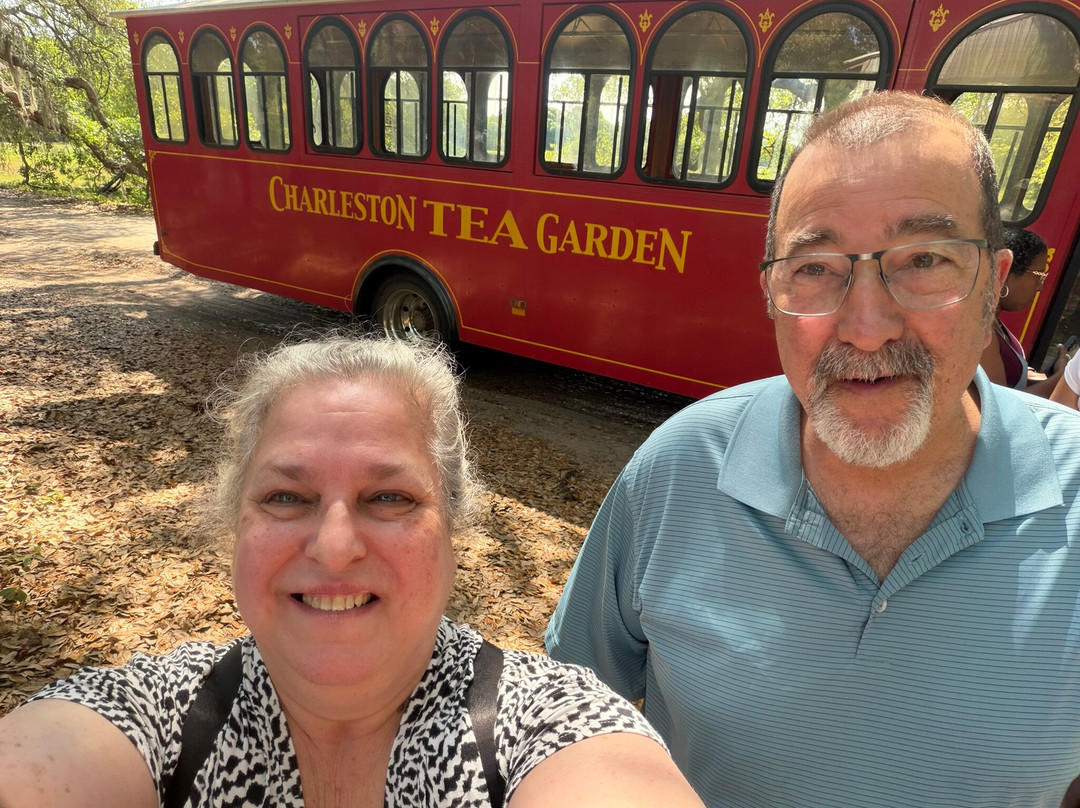 Hollywood旅游景点-Charleston Tea Garden