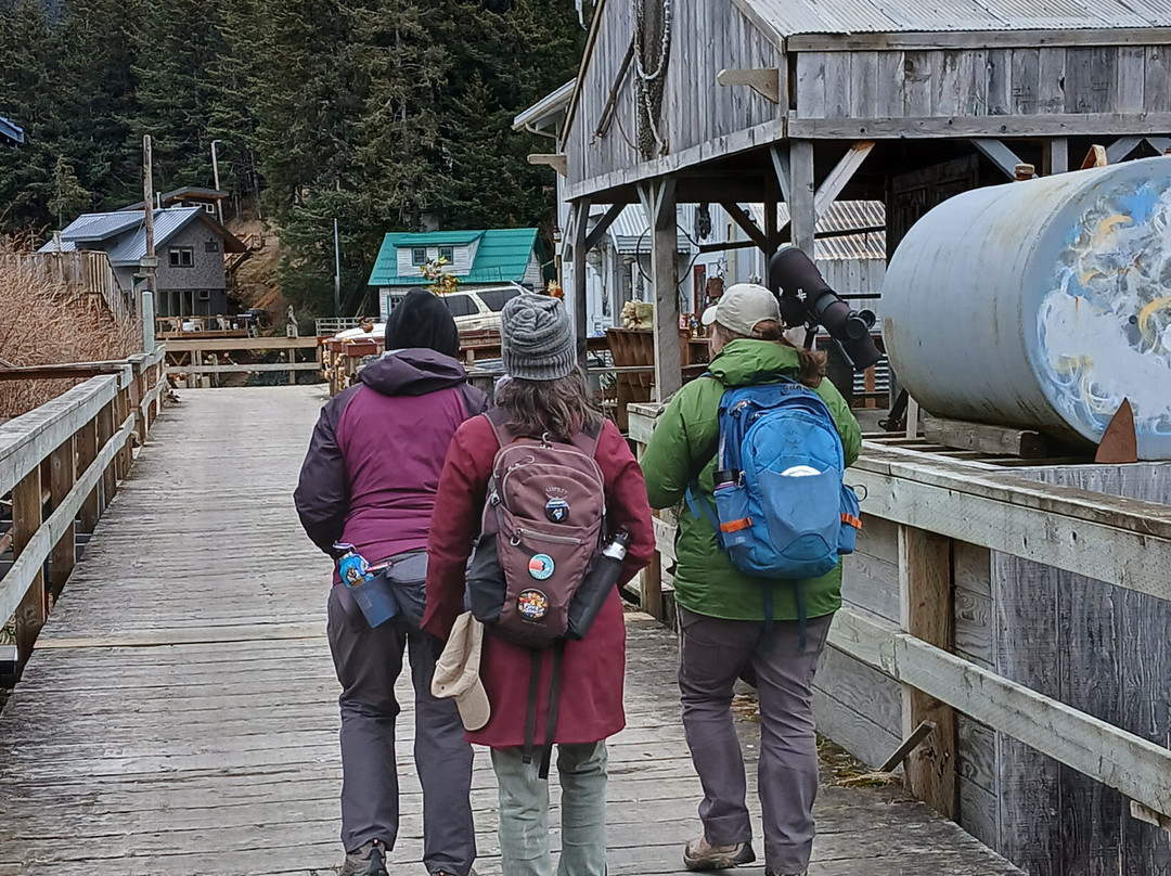 Seldovia Nature Tours-Seldovia必去景点
