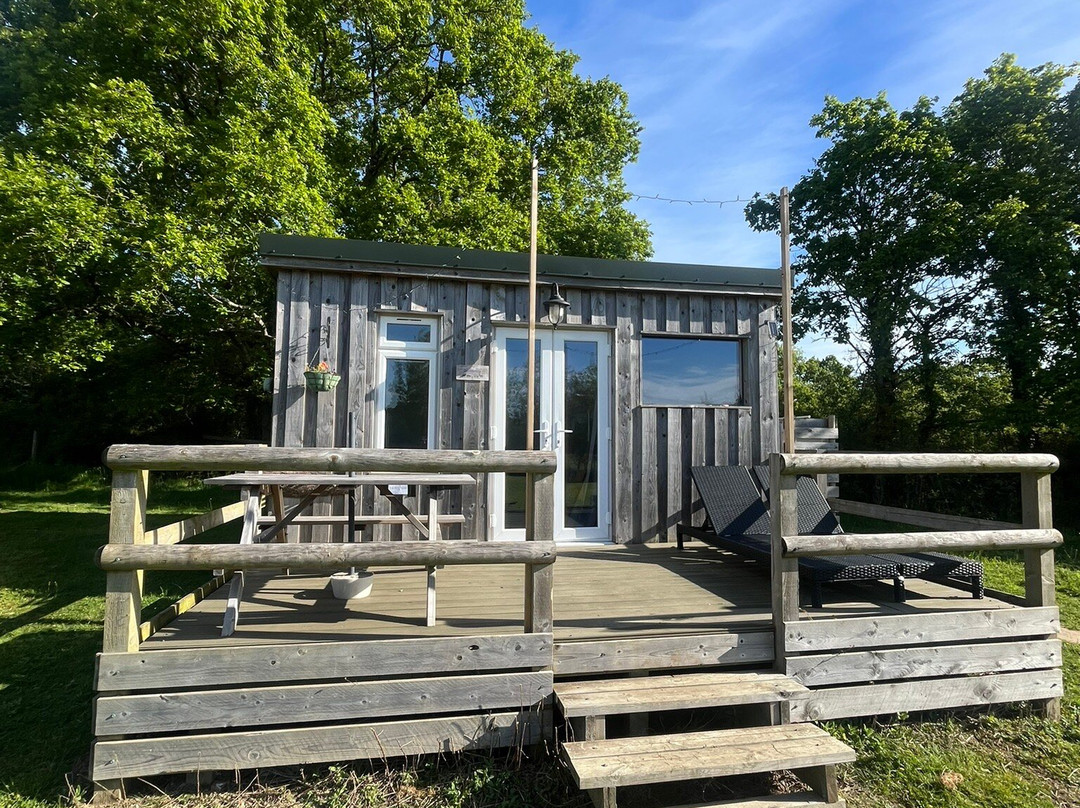 Dartmoor Reach Alpaca Experiences-Bovey Tracey必去景点