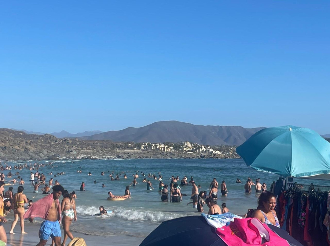 Playa Totoralillo-Coquimbo必去景点