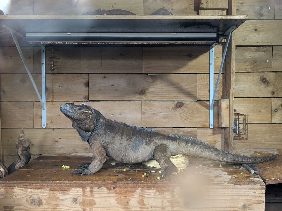 Lincolnshire Wildlife Park-Friskney必去景点
