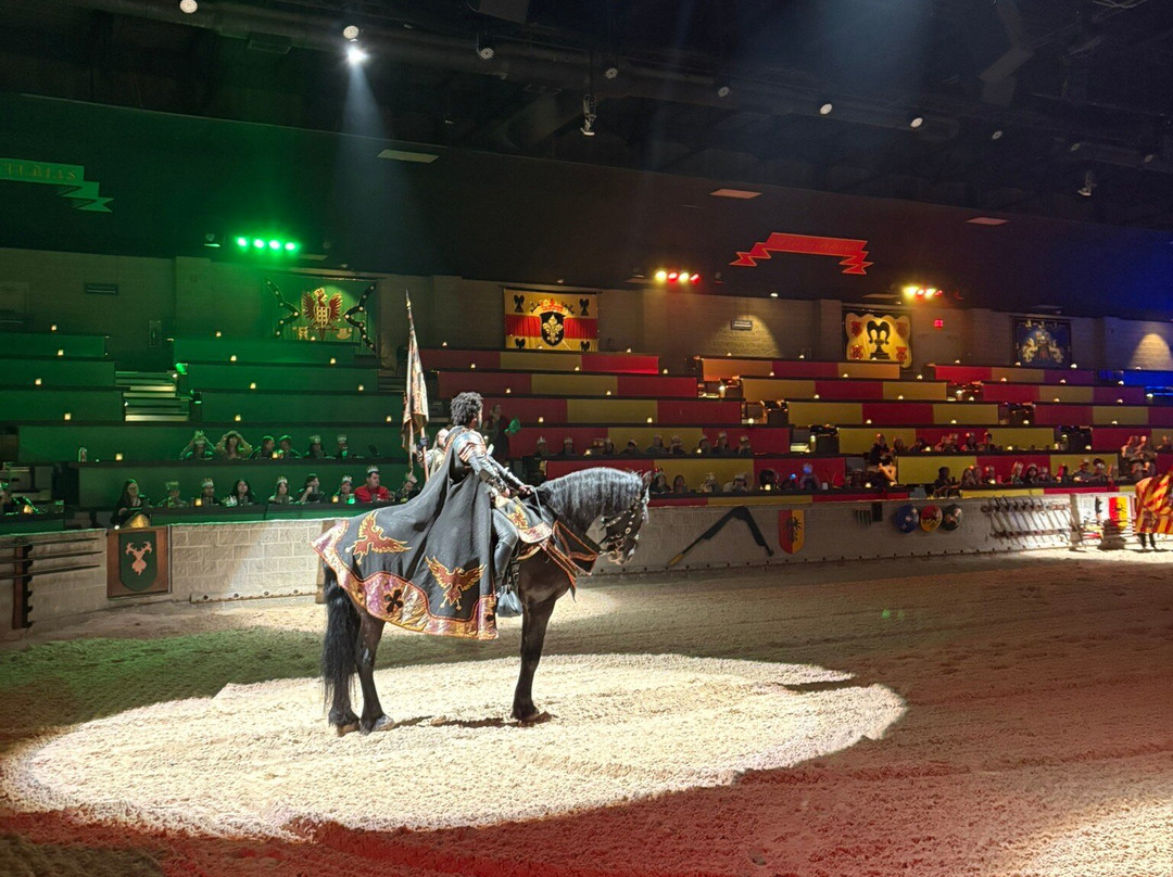 Medieval Times-绍姆堡必去景点