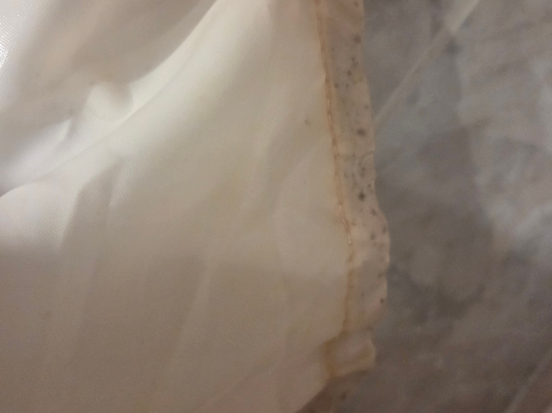 玫瑰维特之家酒店主图