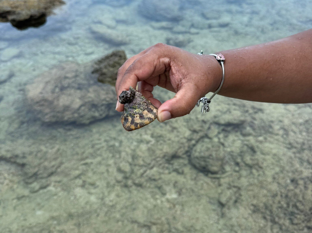 Natural Coral Bridge-Neil Island必去景点