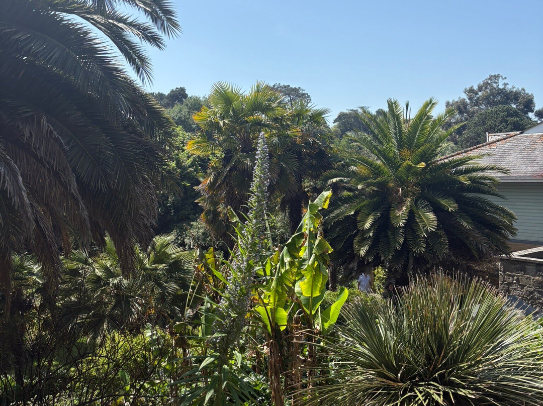 Ventnor Botanic Garden-文特诺必去景点