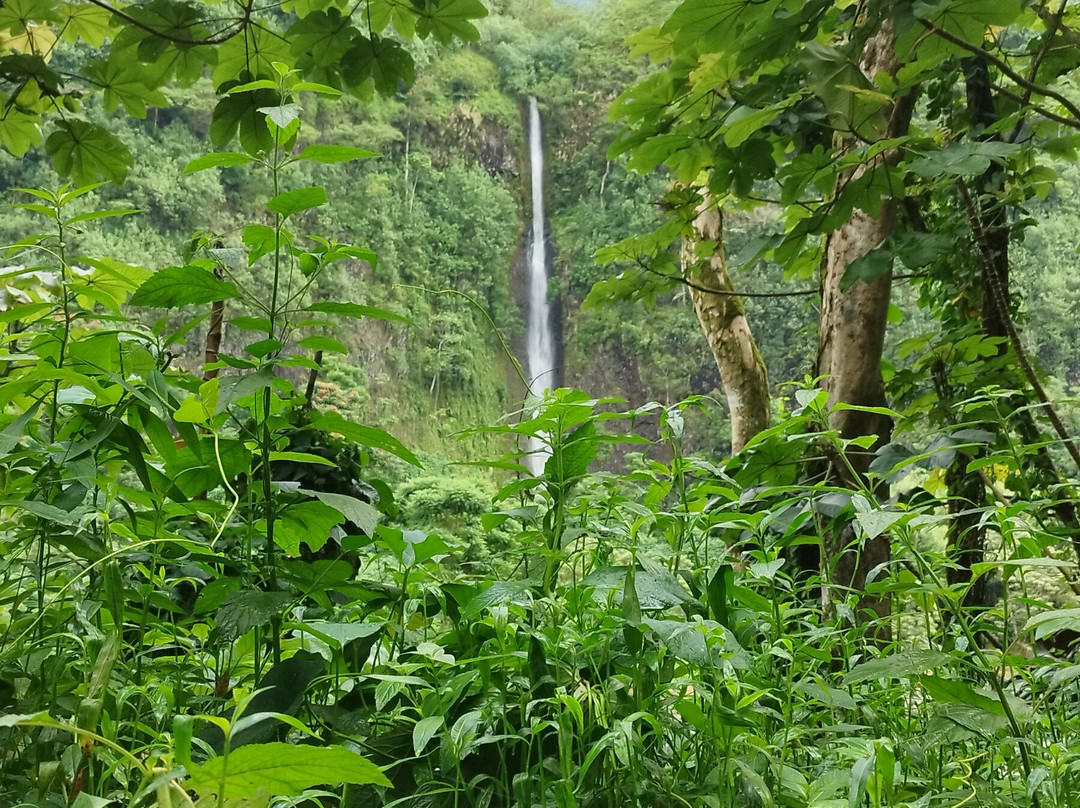 Marama Safari 4x4-法阿必去景点