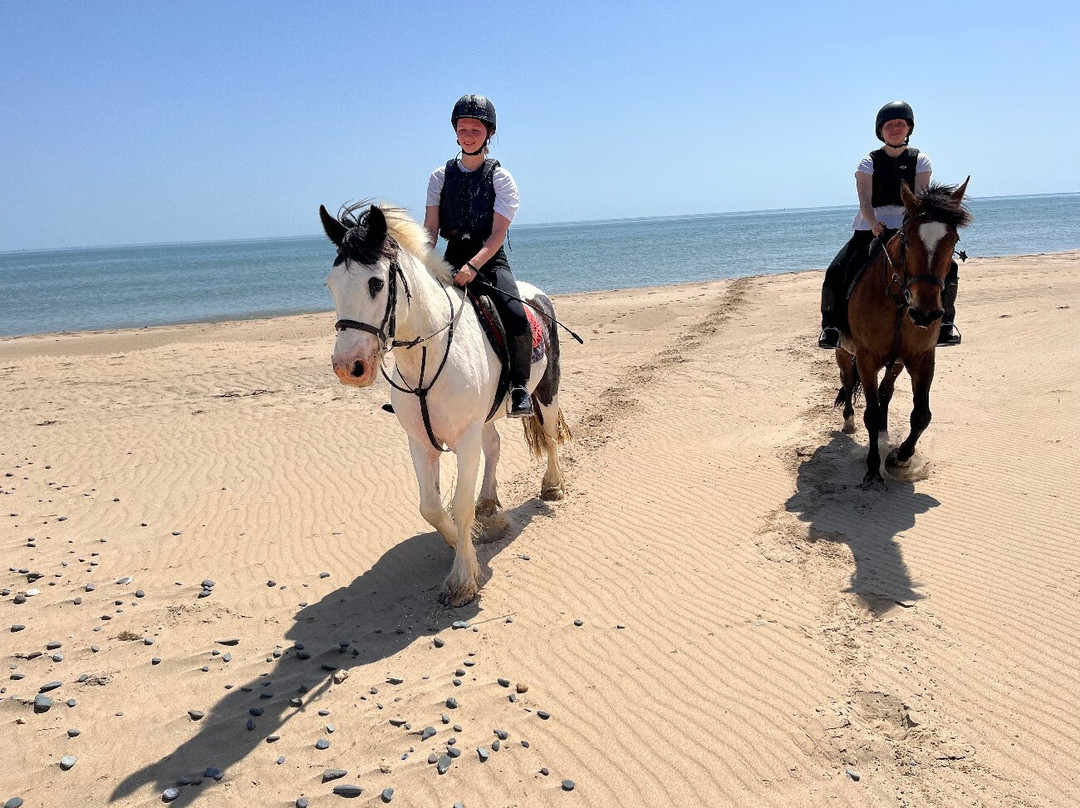 Shrule Equestrian Centre-Gorey必去景点