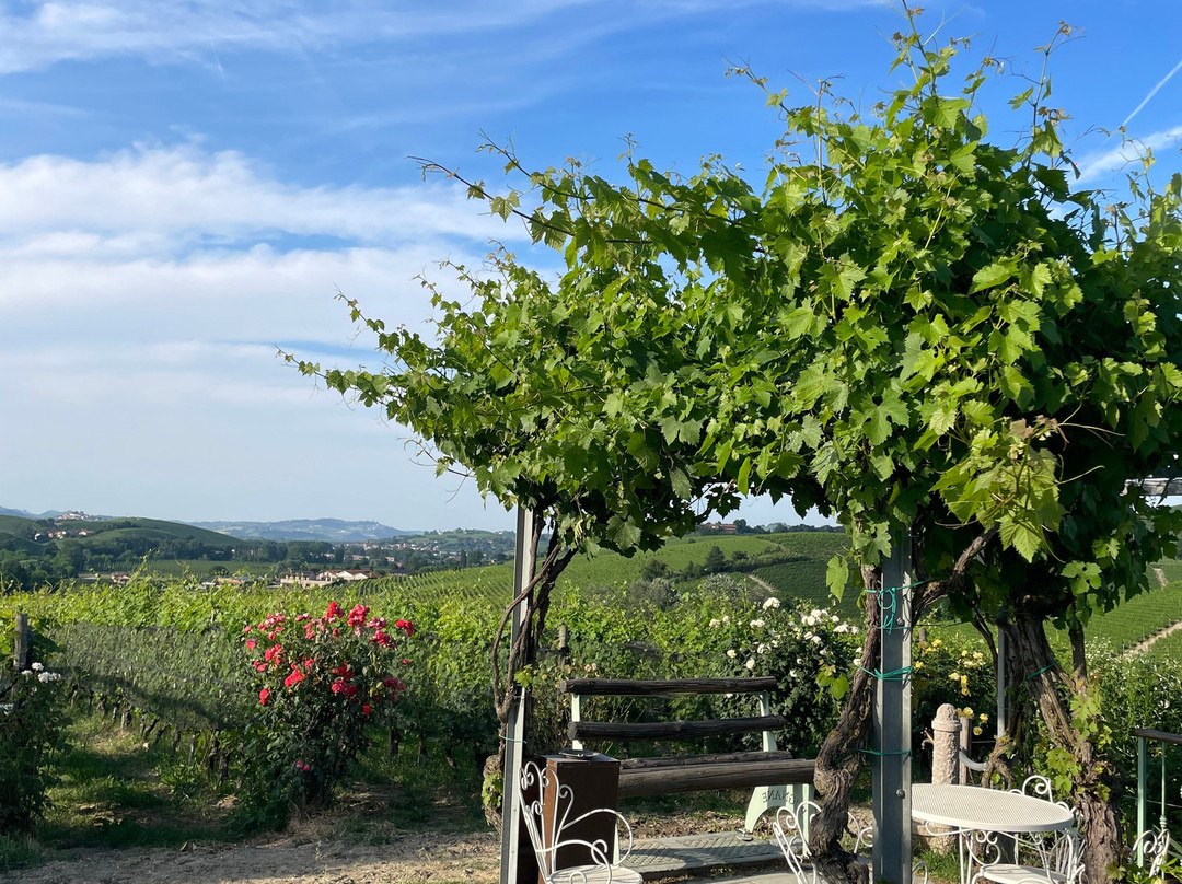 Azienda Agricola Cascina Pugnane S.S. dei F.lli Ghisolfi-Castiglione Falletto必去景点