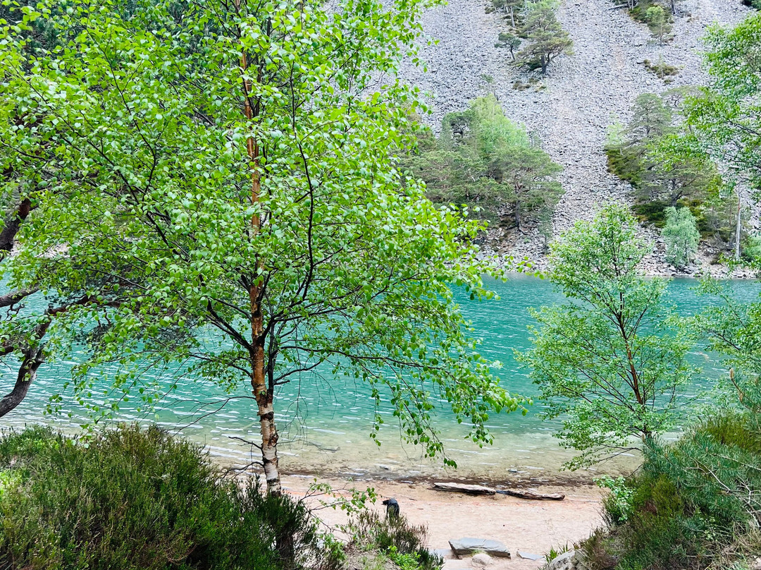 An Lochan Uaine-阿维莫尔必去景点