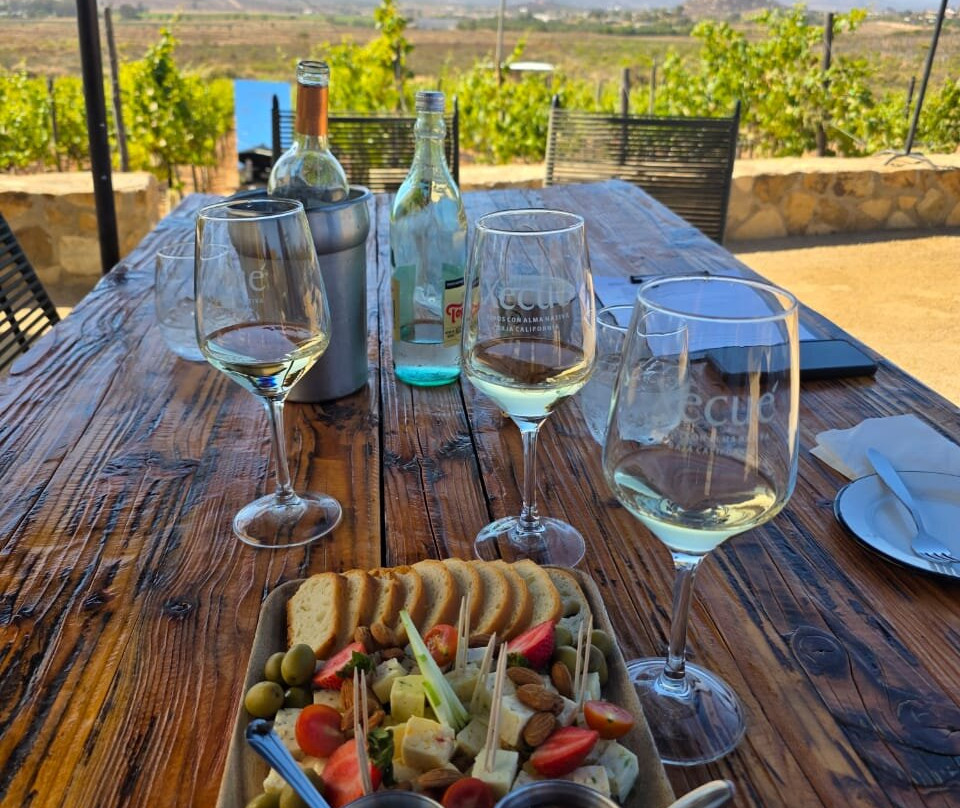 Xecue Vinicola-Valle de Guadalupe必去景点