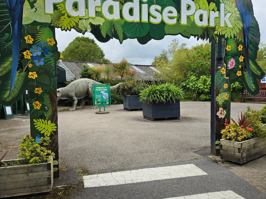 Paradise Park-Hayle必去景点