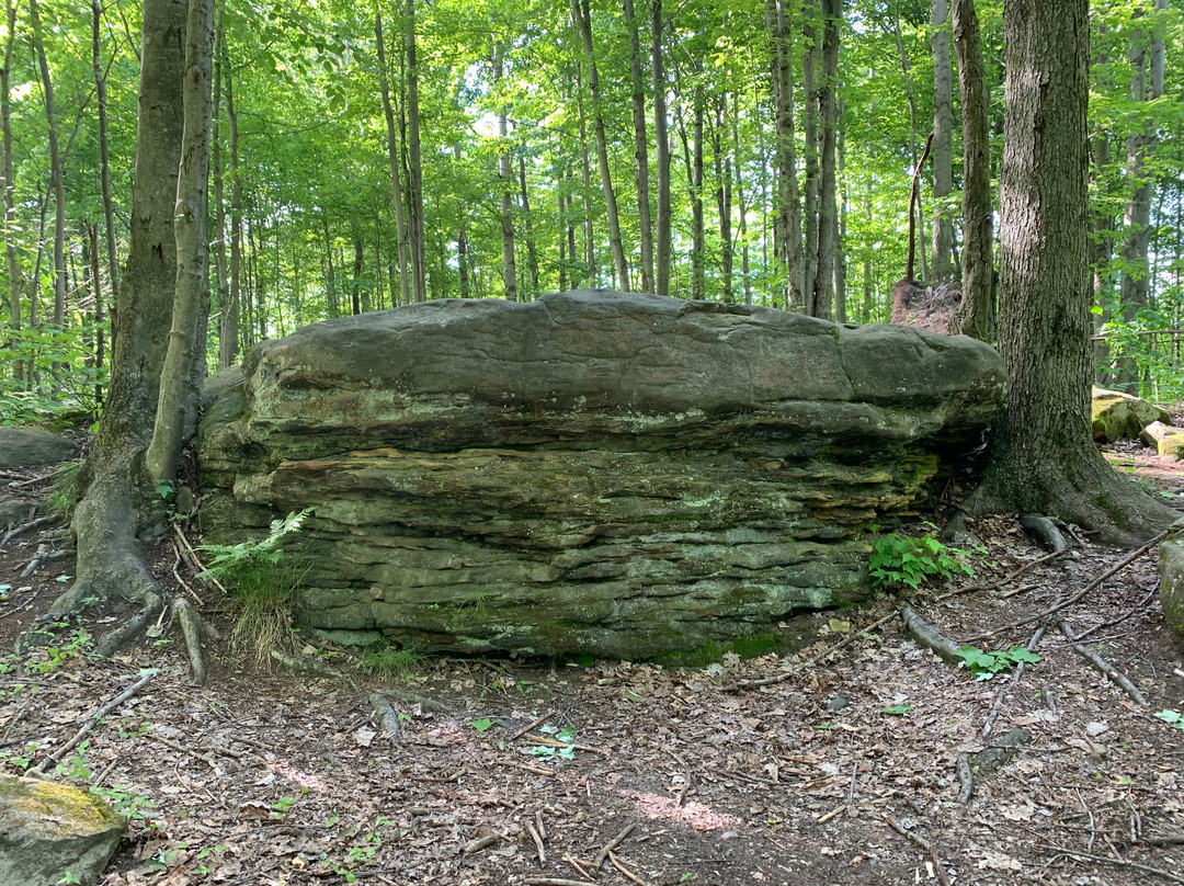 Sanilac Petroglyphs-Cass City必去景点