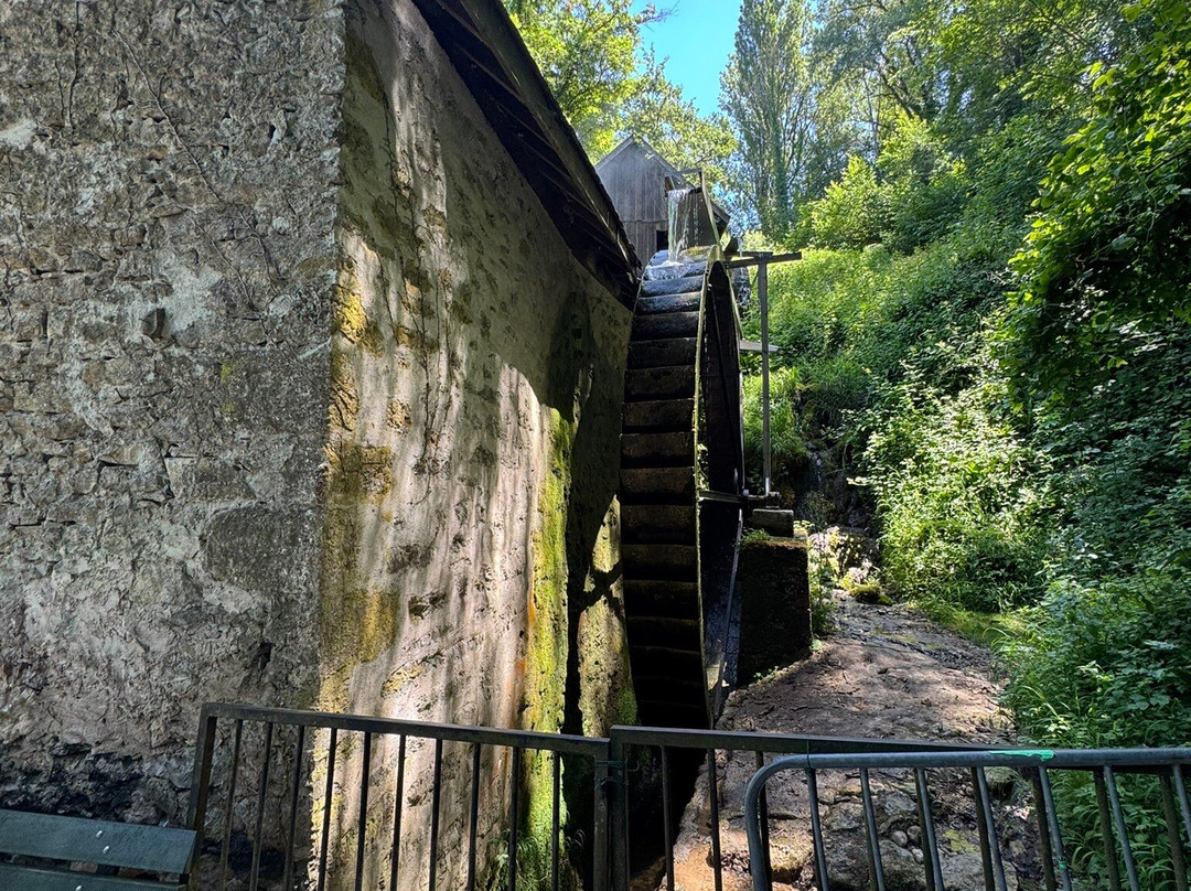 Le Moulin de Chanaz-Chanaz必去景点