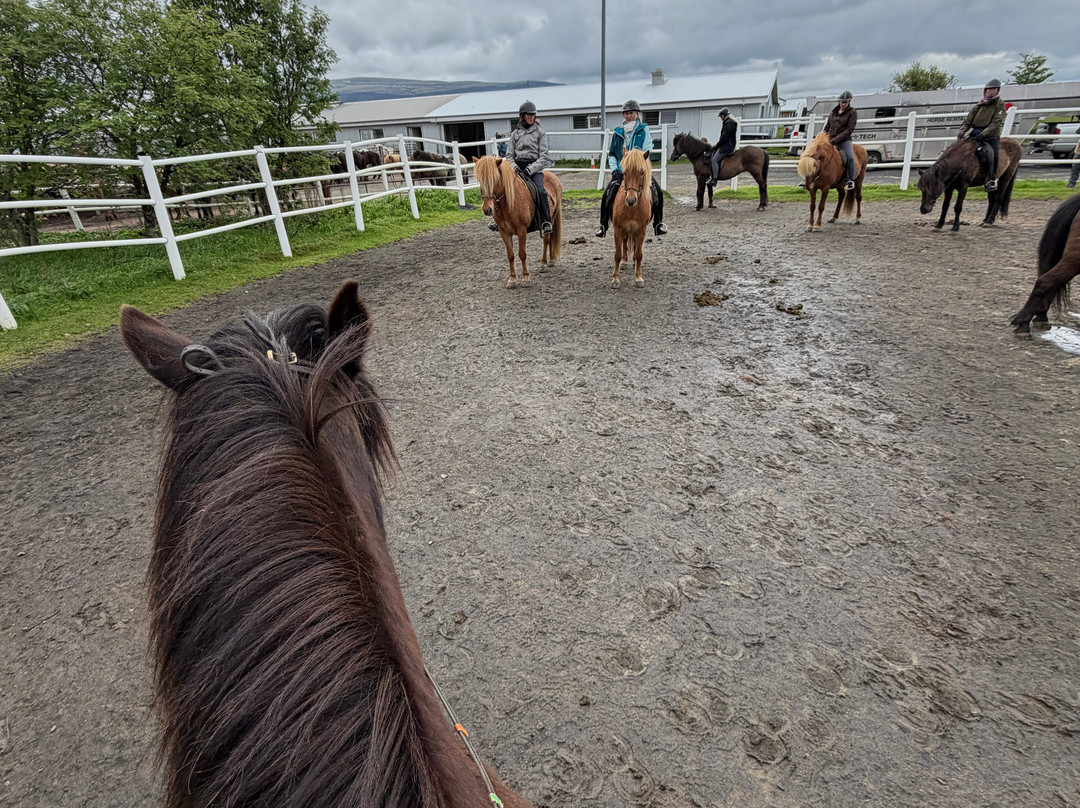 Eldhestar Volcano Horses-Olfus必去景点