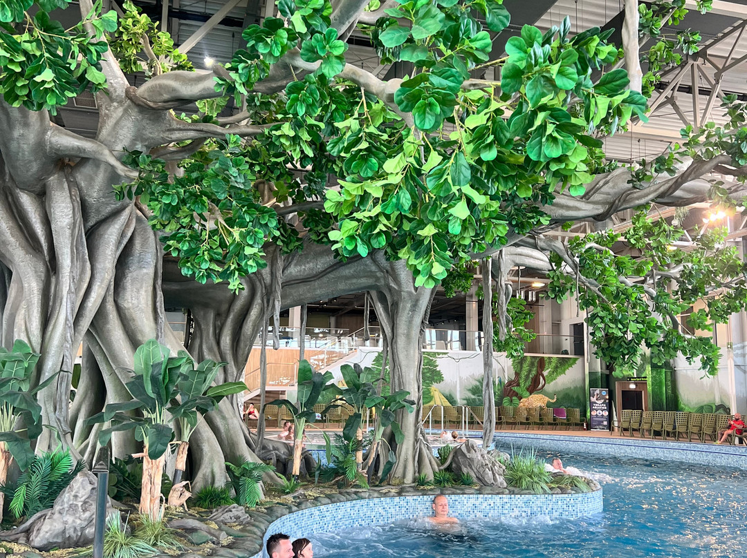 Amazonia Aquapark-蒂米什瓦拉必去景点