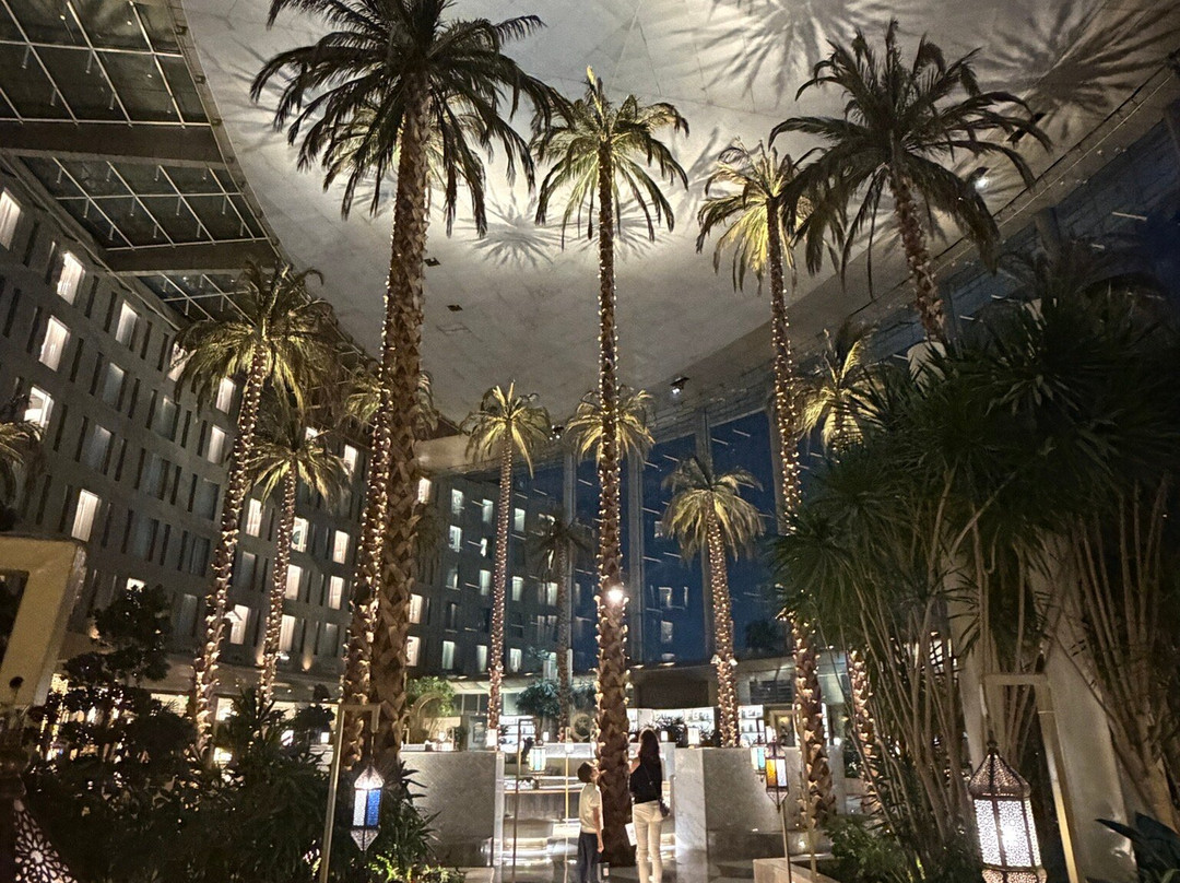 Travel Sawa - Amr Badawy-Nasr City必去景点