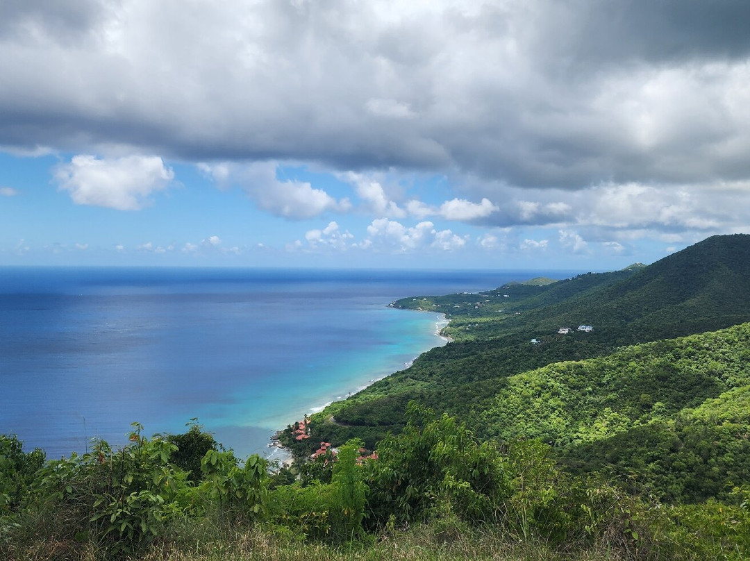 Carambola Zip Line-Frederiksted必去景点