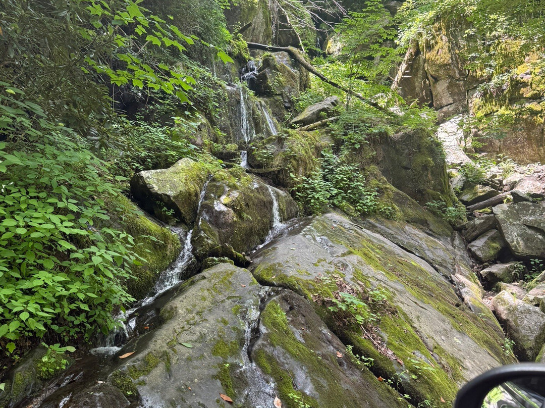 Roaring Fork Motor Nature Trail-大雾山国家公园必去景点