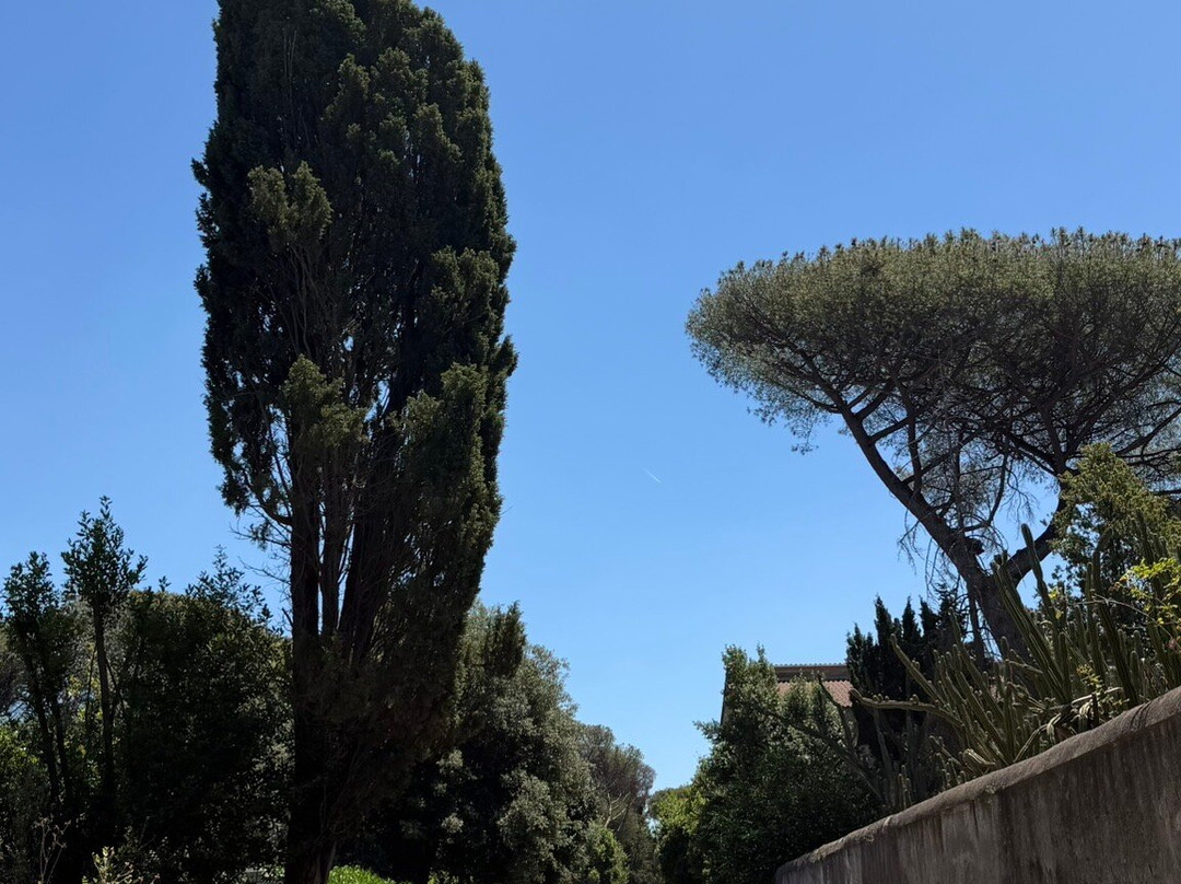 Appian Way (Via Appia Antica)-罗马必去景点