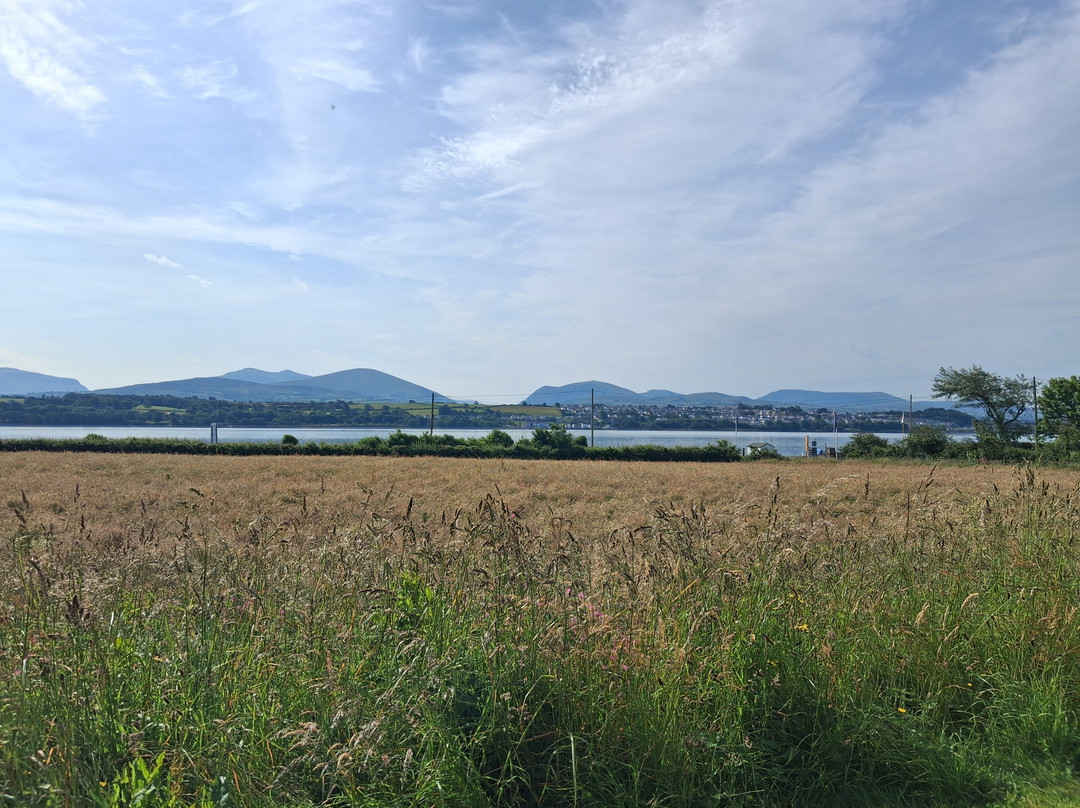 Anglesey Sea Salt Company - Halen Mon-Brynsiencyn必去景点
