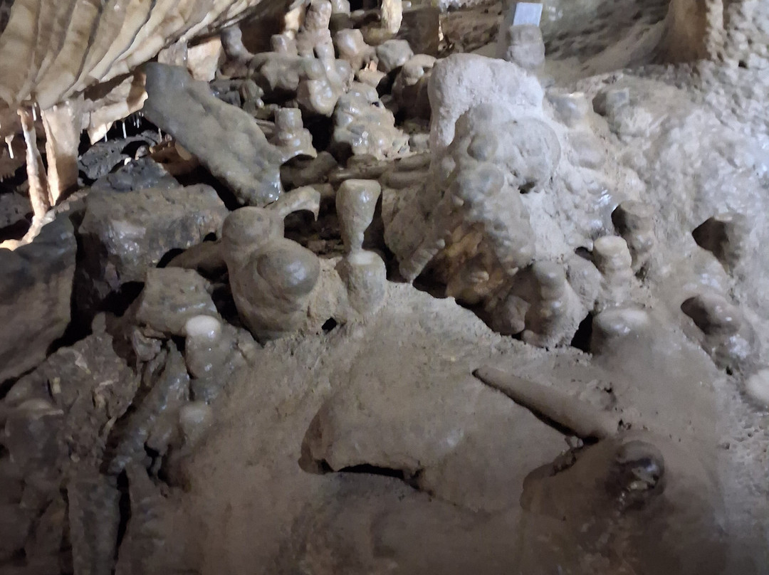 Domaine Des Grottes De Han-Han-sur-Lesse必去景点