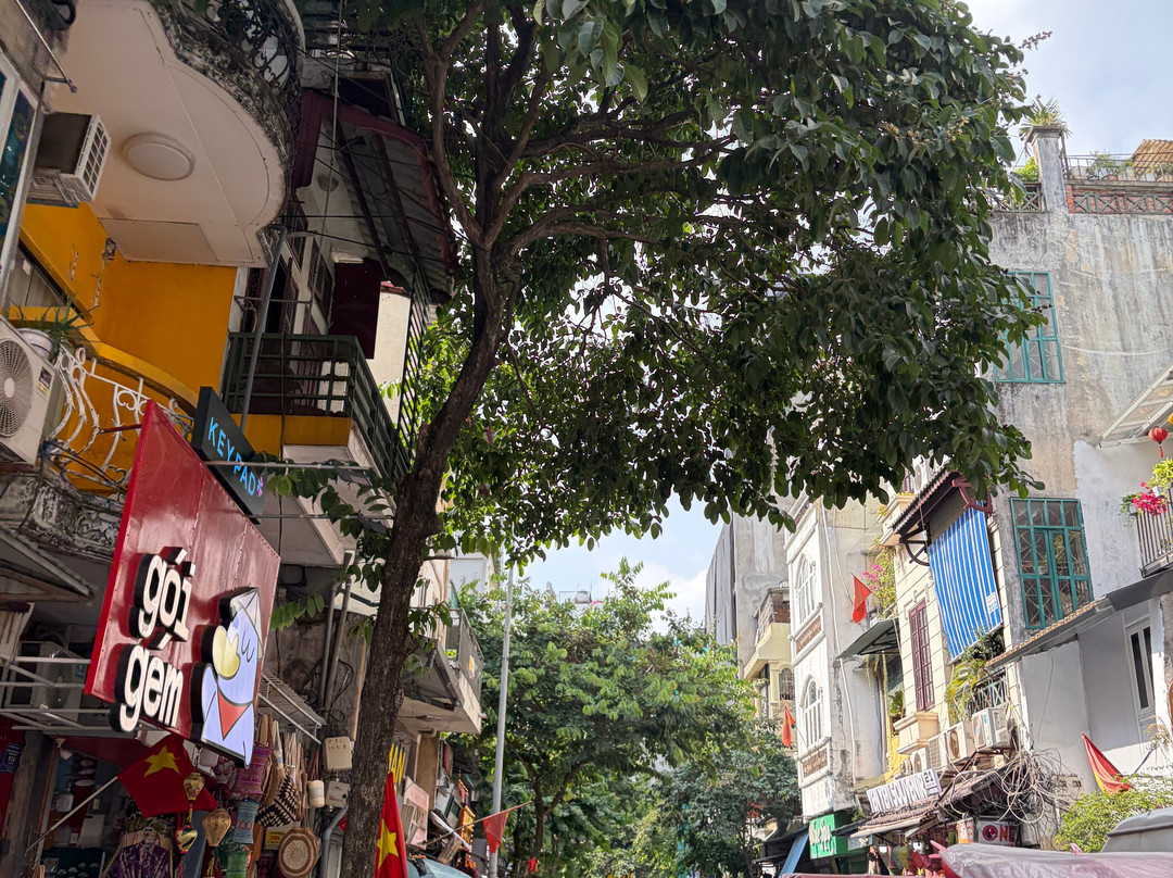 灿烂之星水疗大酒店主图