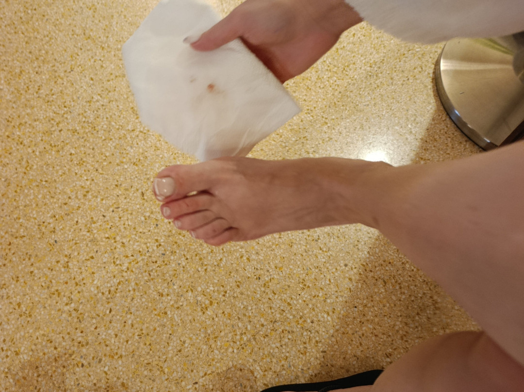 弗吉尼亚宫酒店及水疗中心主图