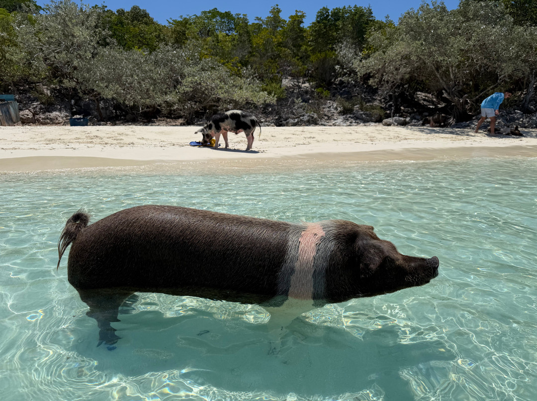 Coastline Adventures Exuma-大埃克苏马必去景点