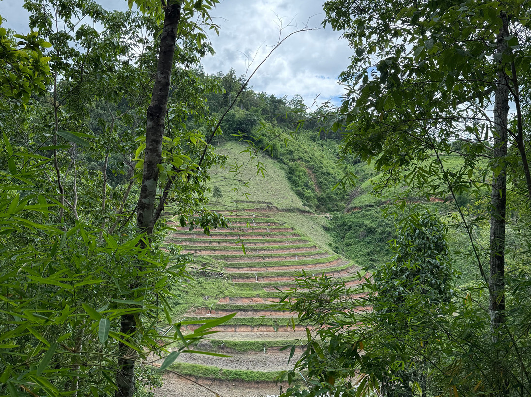 Temo Trekking