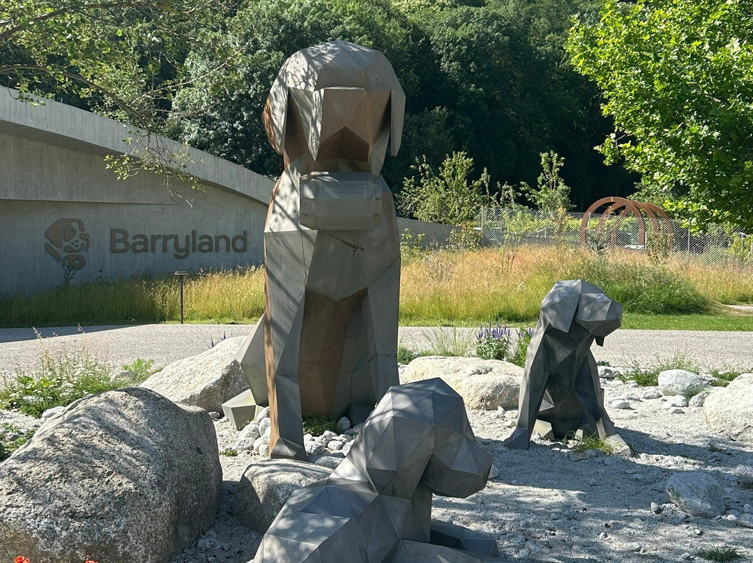 Barryland - Musée et chiens du St-Bernard-马蒂尼必去景点