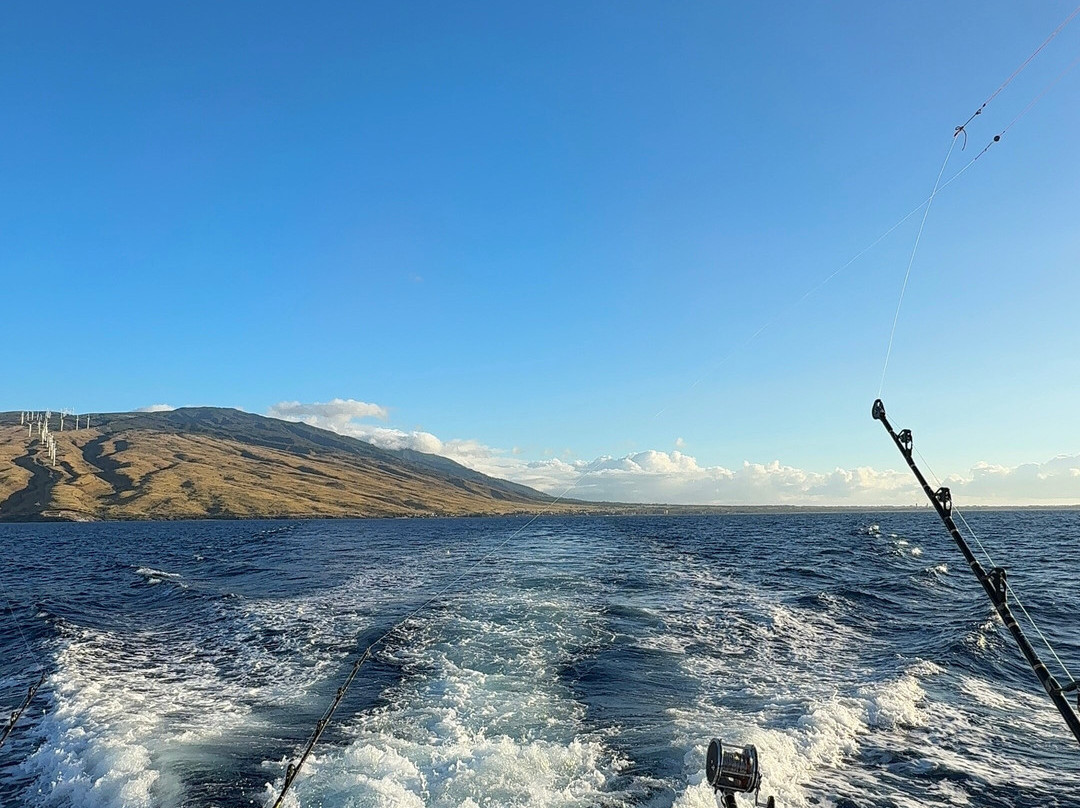Strike Zone Sportfishing & Bottom Fishing-海库必去景点
