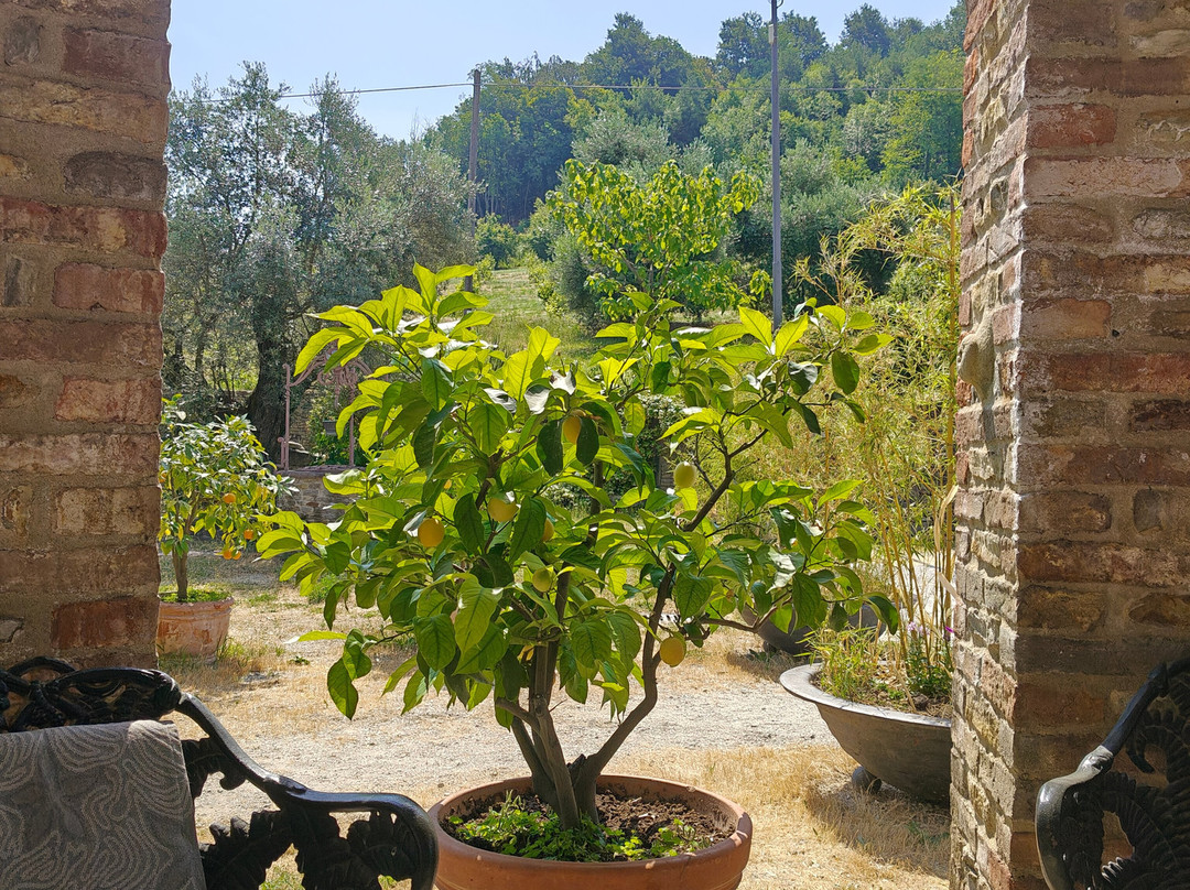 卡希纳花园酒店主图