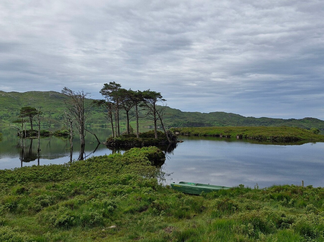 Loch Assynt-Lairg必去景点