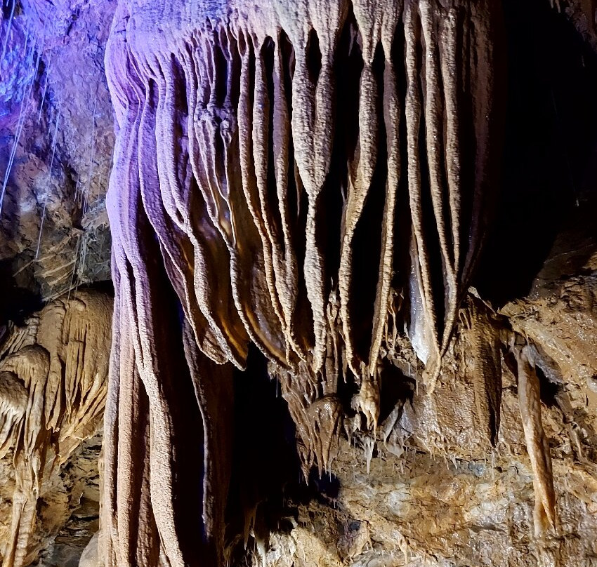 Grotte de Trabuc-Mialet必去景点