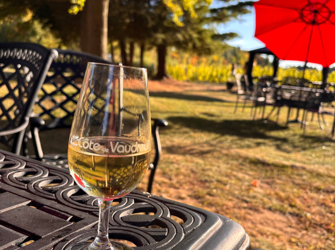 Vignoble Côte De Vaudreuil-沃德勒伊多里翁必去景点