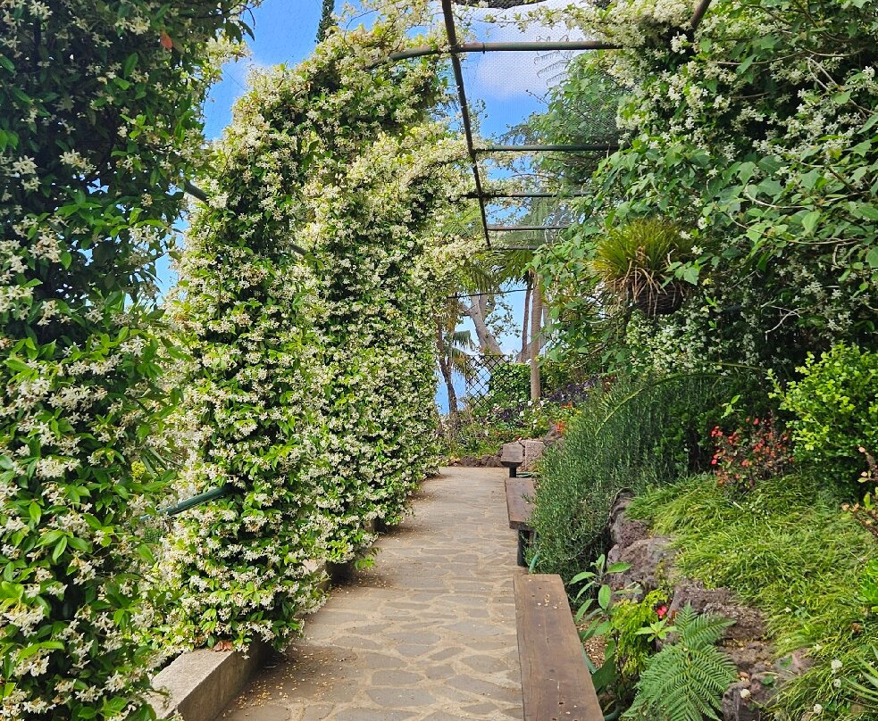 Monte Palace Madeira-沙尔必去景点