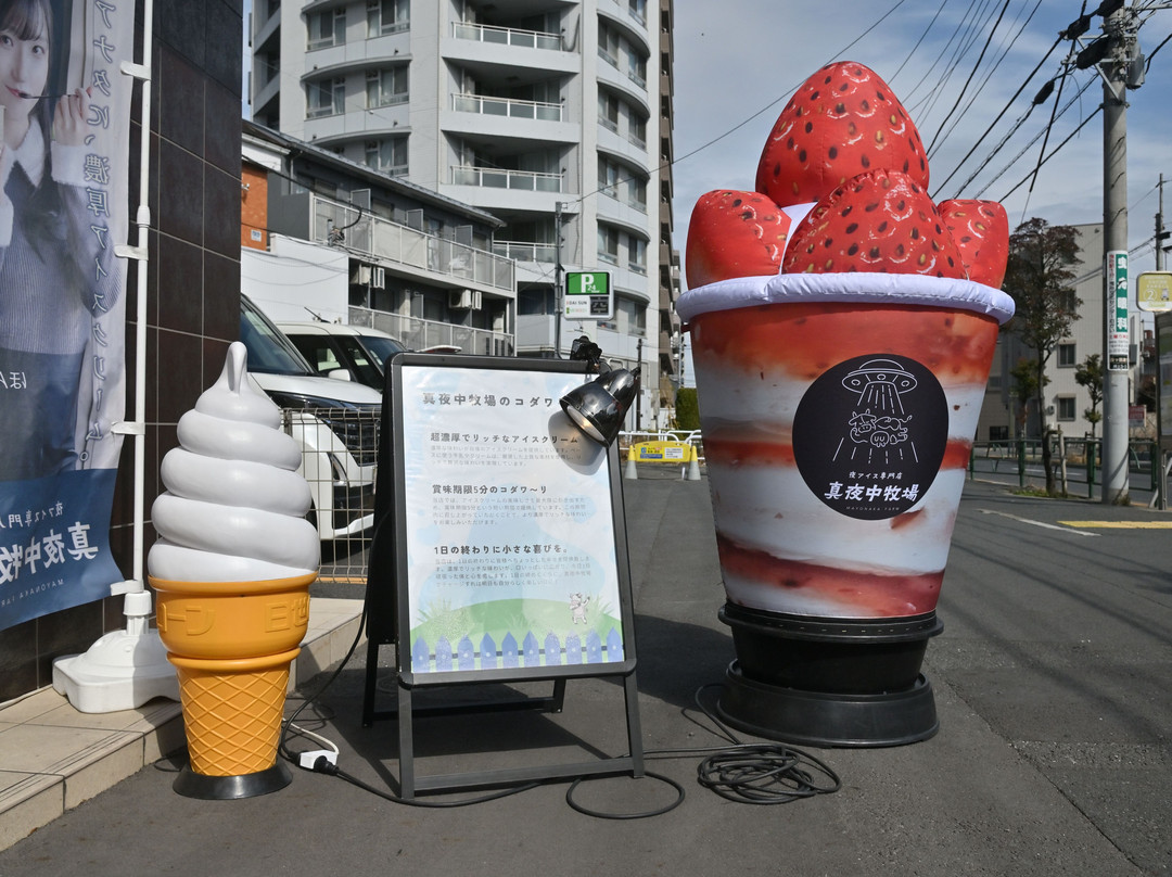 夜アイス専門店 真夜中牧場 押上本店
