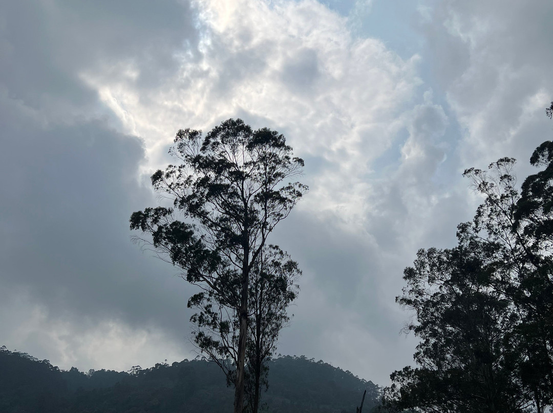 Kodaikanal Lake-科代卡纳尔必去景点